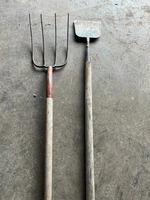 Fork and Scraper