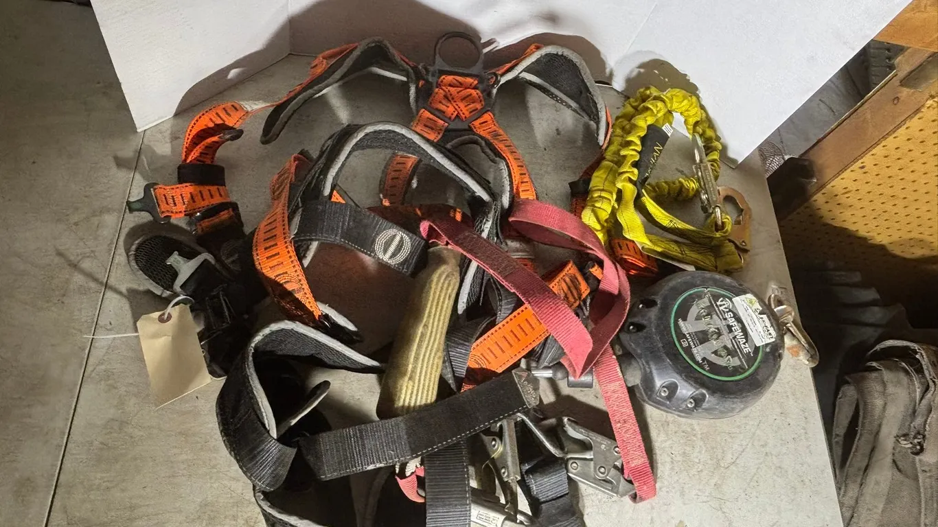 Lanyard and Harness
