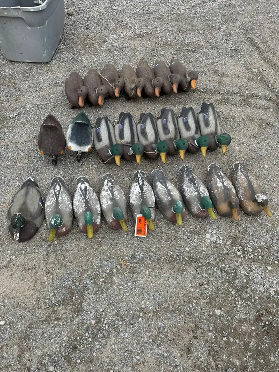 (24) Mallard Duck Decoys