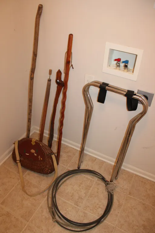 Walking Sticks & Accessories