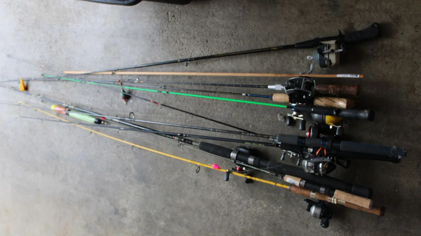 Fishing Rods & Reels