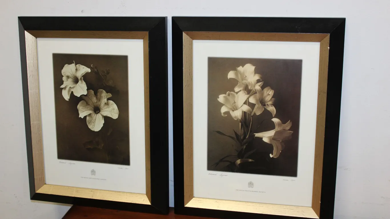 Floral Photographic Prints