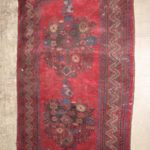 Oriental Area Rug