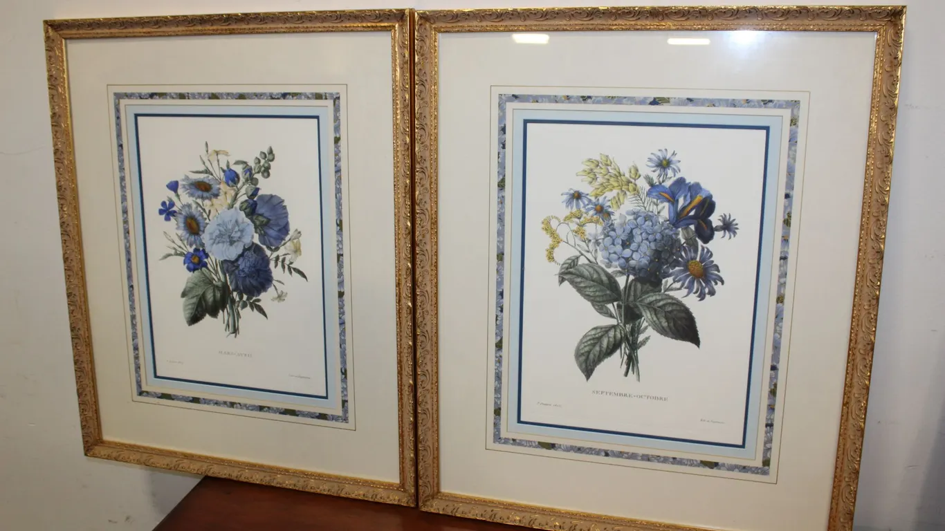 Pair of Framed Botanical Floral Prints