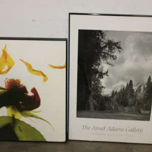 Ansel Adams Yosemite and Floral Framed Art