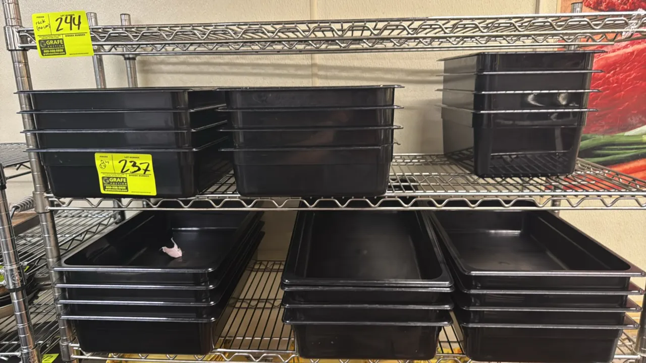 Full and half-size polycarbonate food pan inserts. Includes (24) black plastic food pans in assorted depths. Shelving and contents of other lots not i