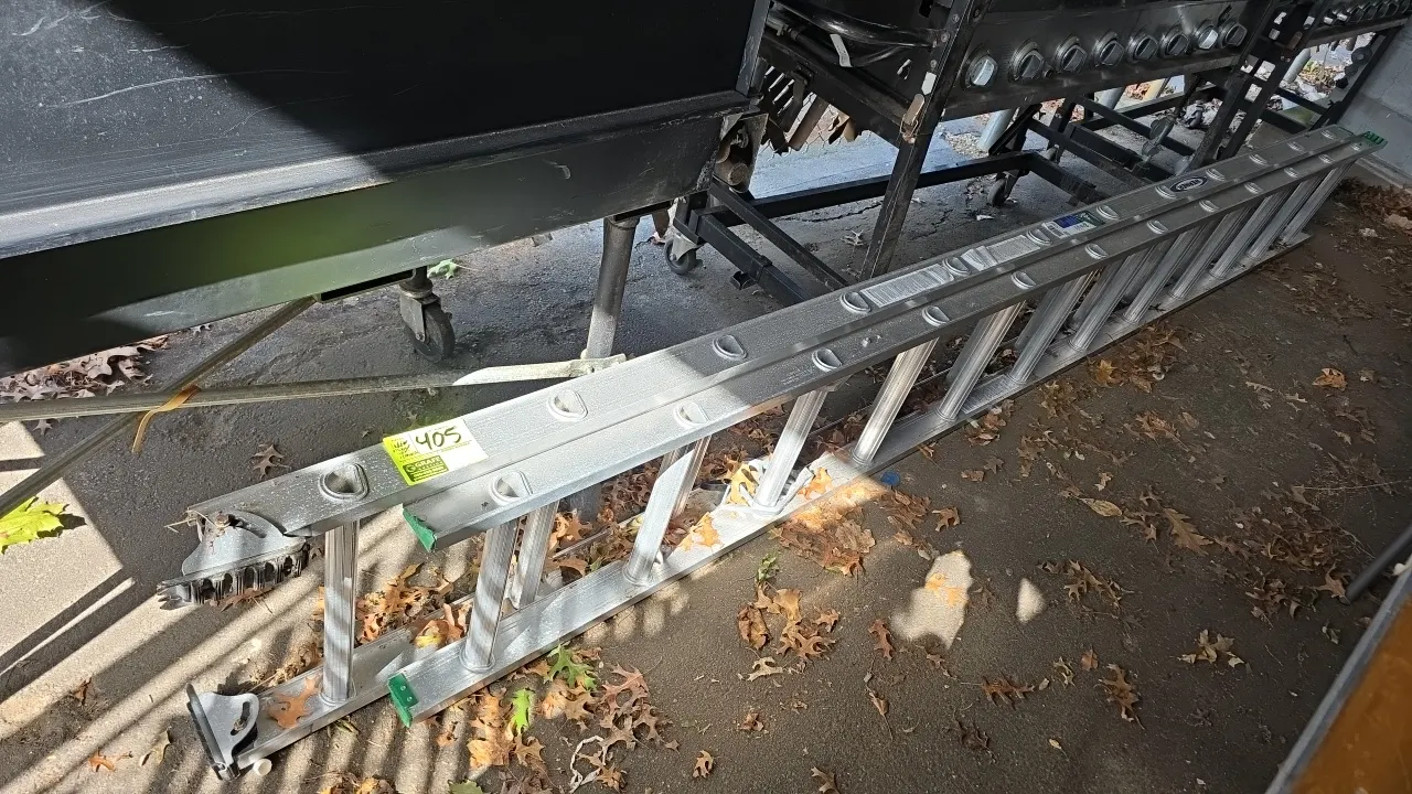 Werner D1224-2 24' aluminum extension ladder. Features a 2-section design, 225 lb load capacity (Type II rating), slip-resistant D-rungs, swivel safet