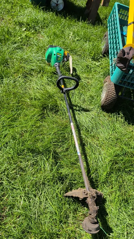 Weed Eater FeatherLite SST25 gas string trimmer. Features a 25cc engine, 17" cutting swath, dual-line bump feed head, loop assist handle, and debris s