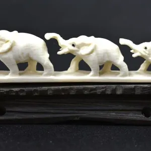 CARVED IVORY ELEPHANTS