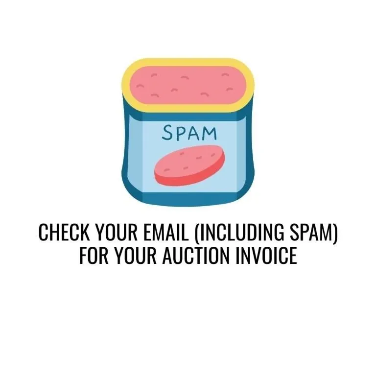 CHECK YOUR EMAIL (INCLUDING SPAM) FOR YOUR AUCTION