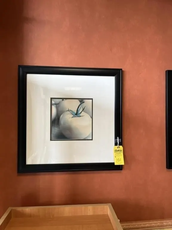 FRAMED PICTURES - TOMATO / ONION / PEPPER