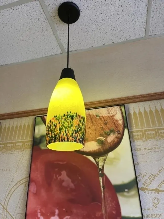 MULTI-COLOR PENDANT LIGHTS