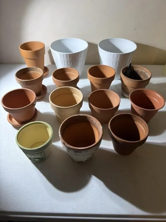 Terra Cotta & Plastic Planters