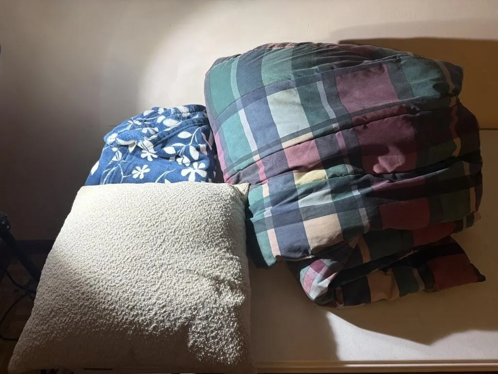 Twin Comforter, Blue Floral Throw, Pillow