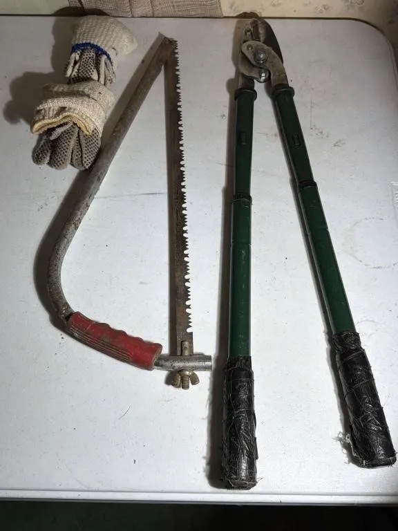 Pruners, Bow Saw, Gloves