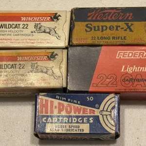 .22 Caliber Long Rifle Ammo- Winchester Wildcat,