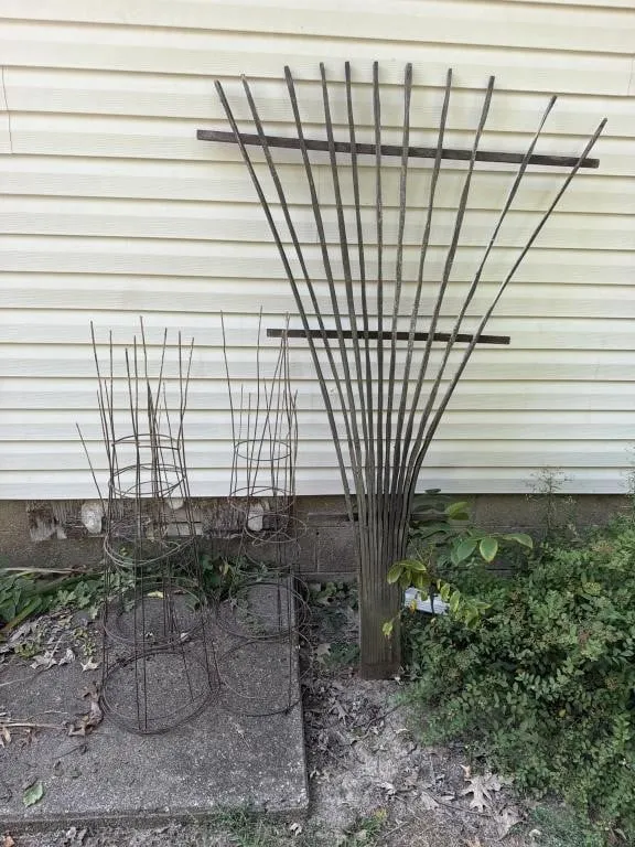 Garden Fan Trellis 48x75, Tomato Cages +/-9