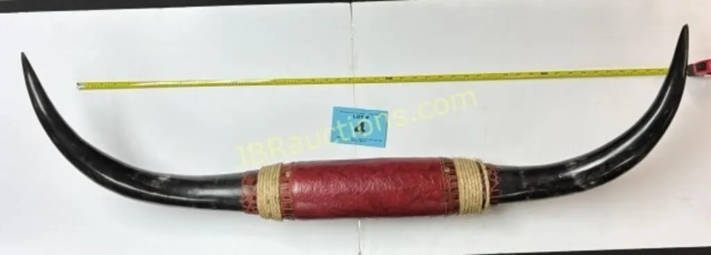BULL HORNS MOUNTED - NICE CONDITION - 42 1/2"
