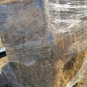 WHEAT STRAW SQUARE BALES (X24)