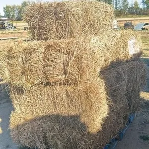 SQUARE HAY BALES (X10)