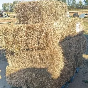 SQUARE HAY BALES (X10)