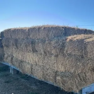 SQUARE HAY BALES (X10)