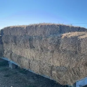 SQUARE HAY BALES (X10)