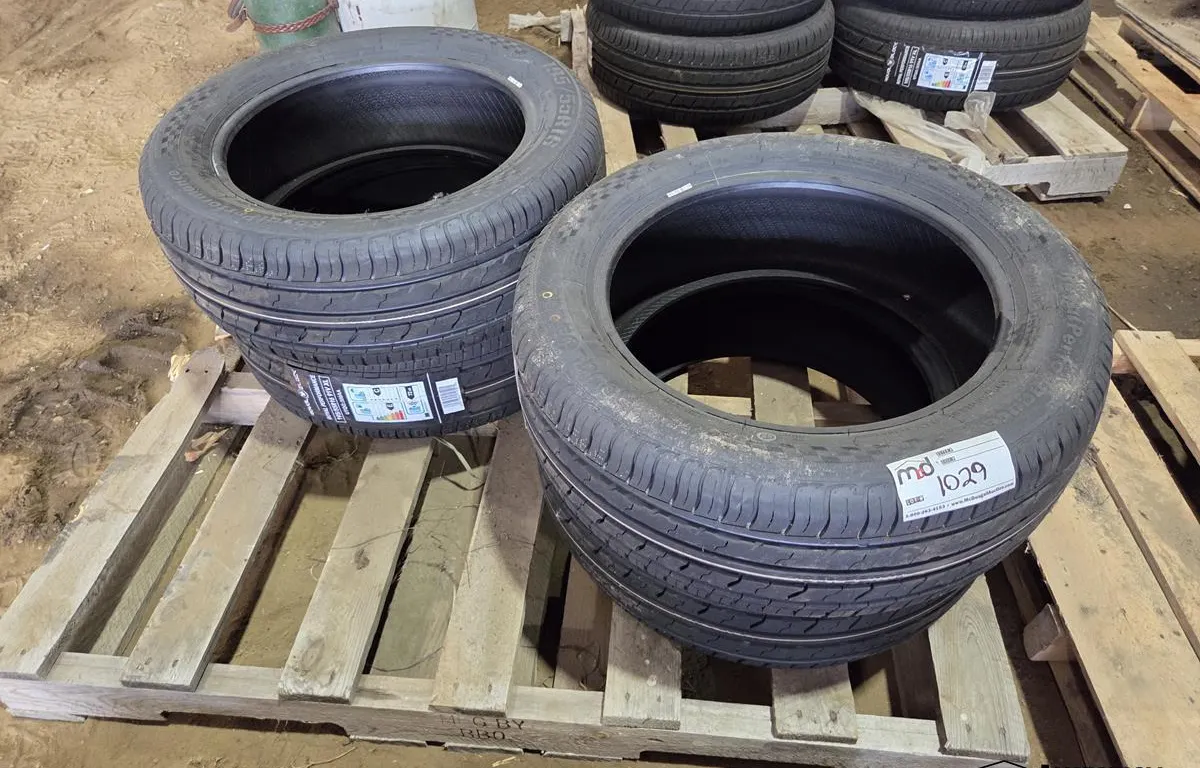 Royal Black Royal Performance 195/55R16 Tires
UNRESERVED