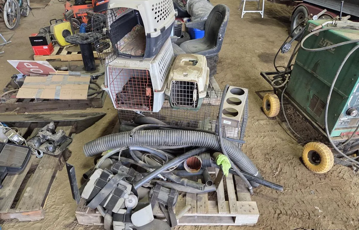 Assorted Pet Carriers, Cages & Accessories
UNRESERVED