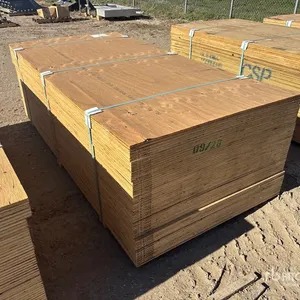 Quantity of (60) 1/2" 4x8 CSP/DFP No Stamp Plywood (Unused)