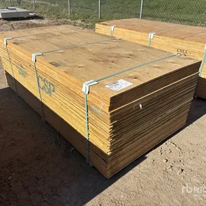 Quantity of (50) 5/8" 4x8 CSP/DFP No Stamp Plywood (Unused)