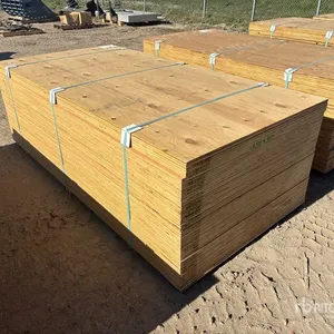 Quantity of (60) 1/2" 4x8 CSP/DFP No Stamp Plywood (Unused)