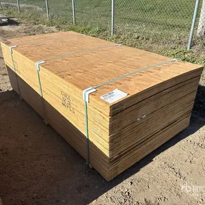 Quantity of (60) 1/2" 4x8 CSP/DFP No Stamp Plywood (Unused)