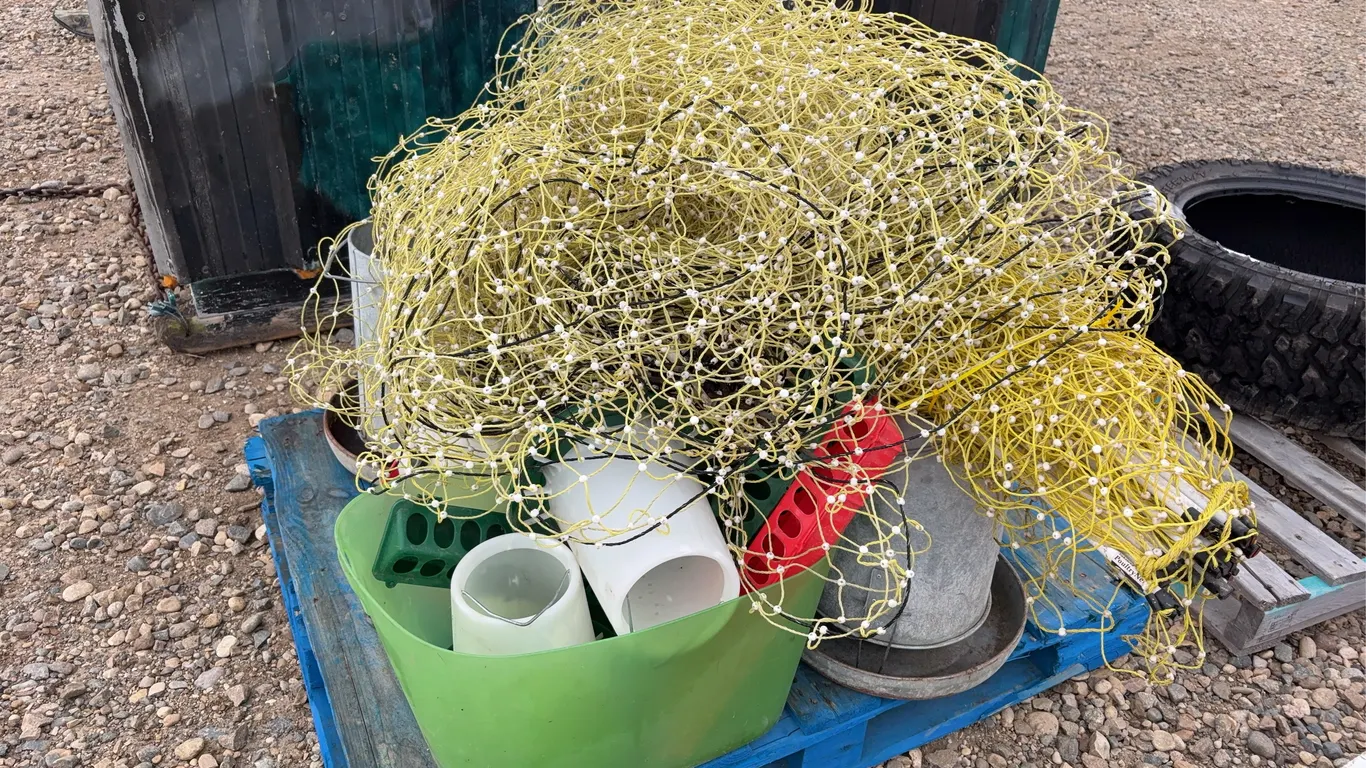 Chicken Feeder Supplies