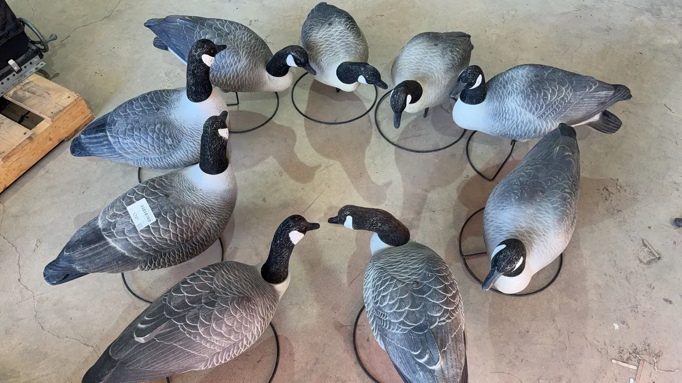 Goose Decoys