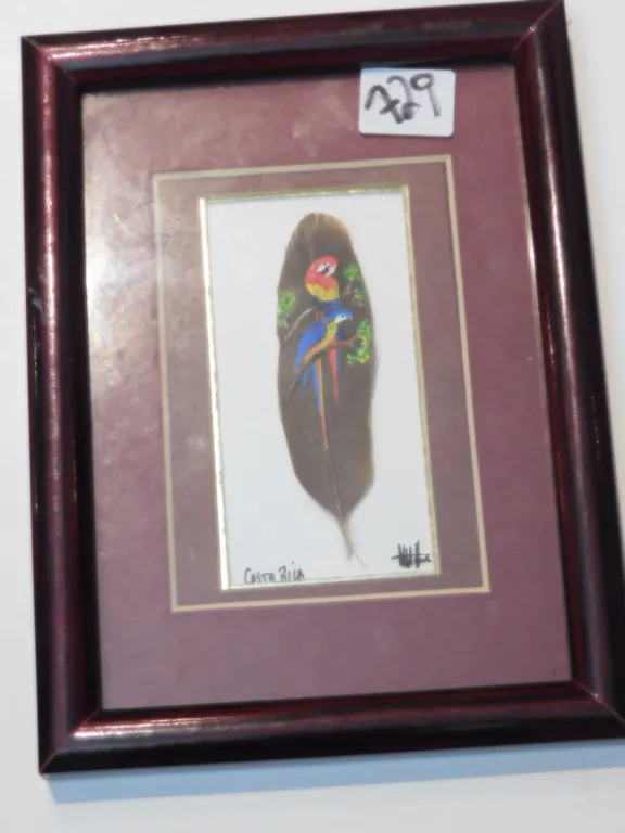 PAINTED FEATHER, COSTA RCA