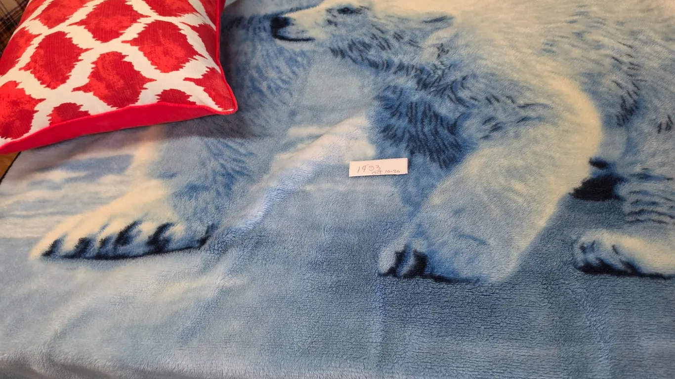 Throw Pillow & Blanket