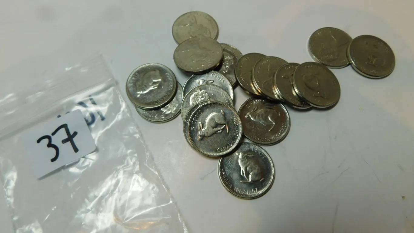 16-1967 RABBIT NICKELS
