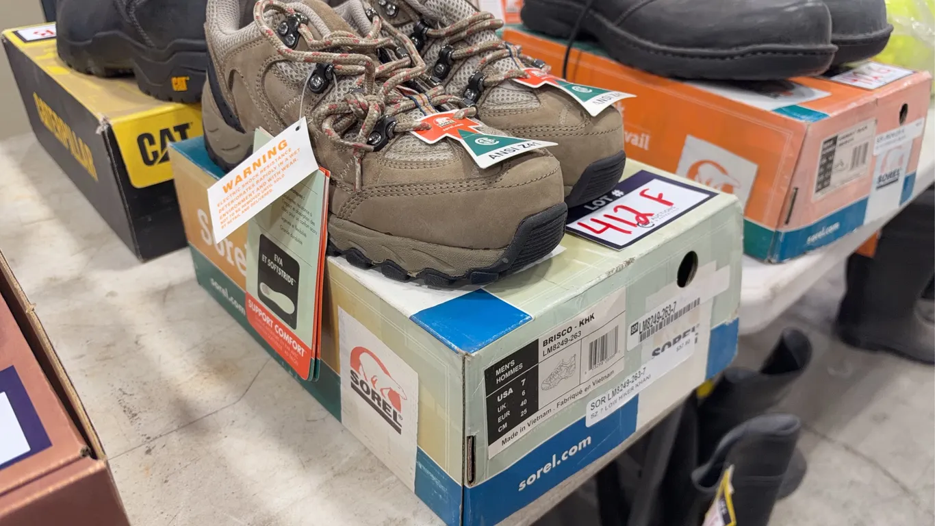 Sorel Briscoe CSA Work Shoes, Size 7