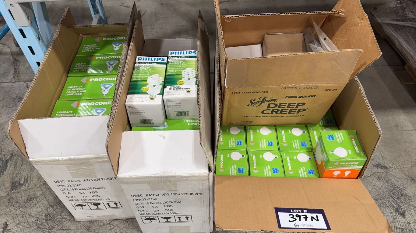 Lot of (4) Boxes of Asst. Light Bulbs