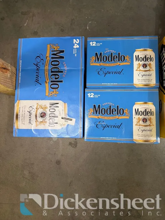 (3) CASES MODELO