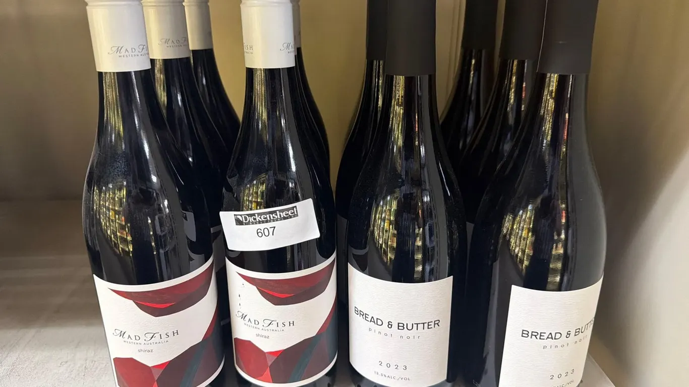 (12) VARIETY OF BRANDS PINOR NOIR & SHIRAZ