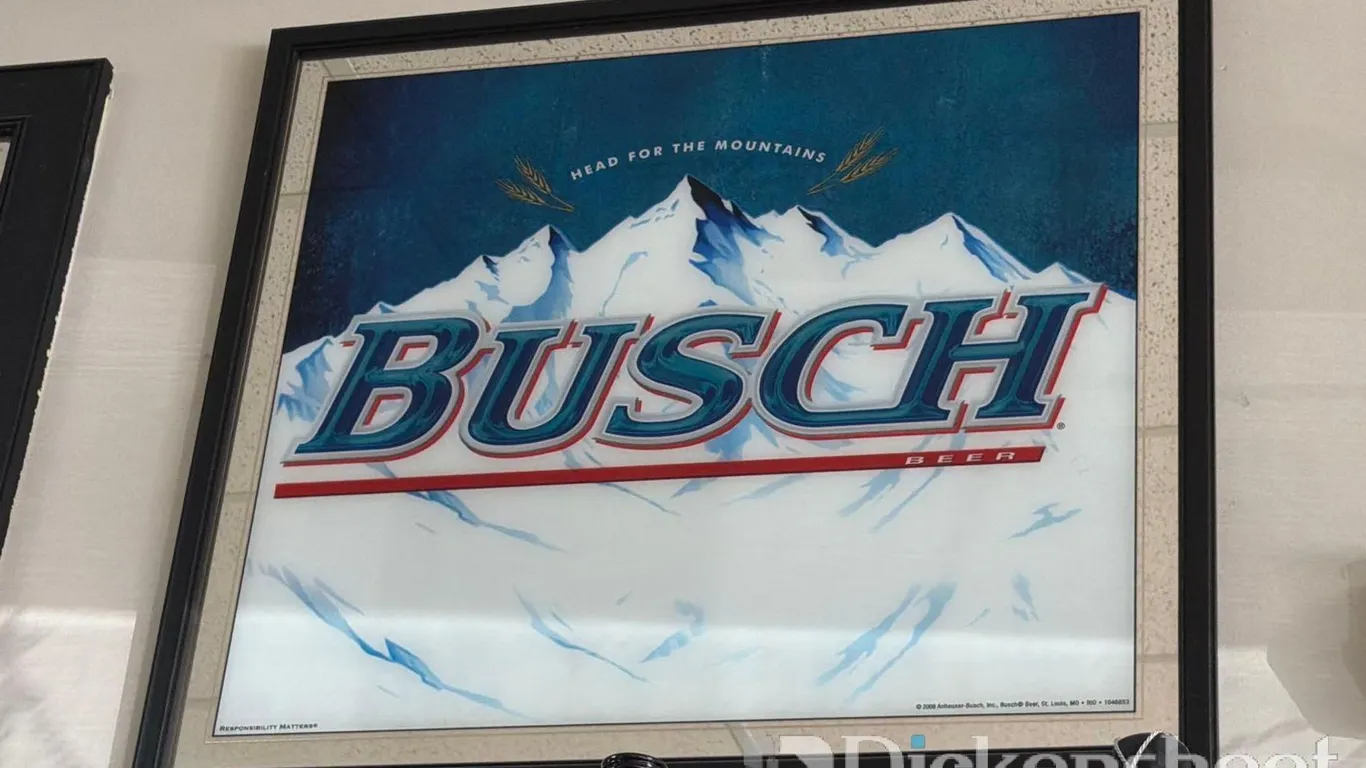 BUSH BEER MIRROR
