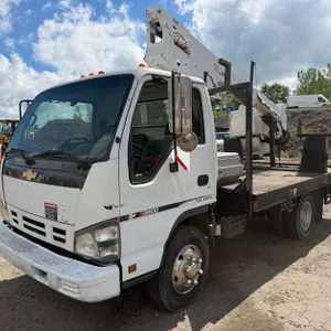 2006 Chevrolet W3500