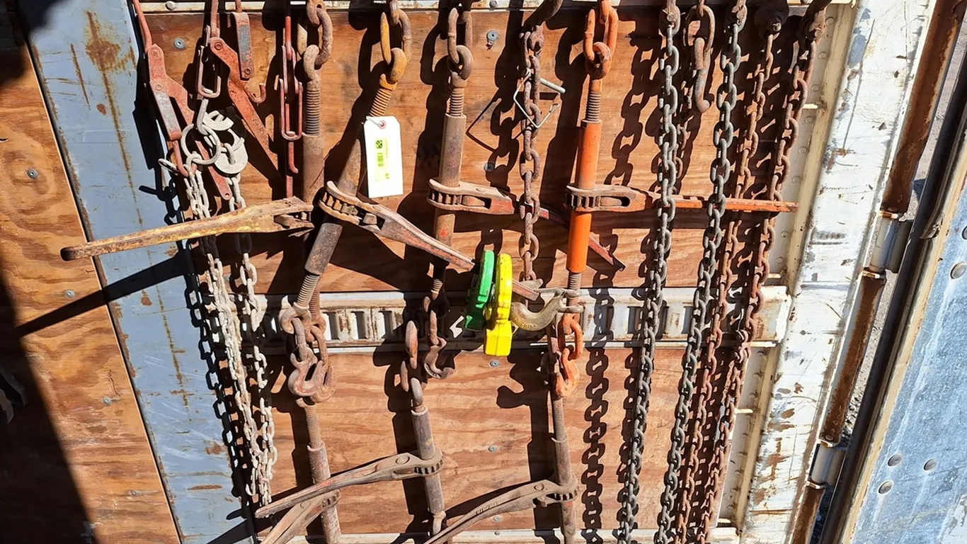 Assorted Come Alongs, Chains
