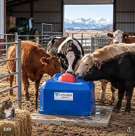 Canarm EF40C Poly Waterer, Covered, Energy Free