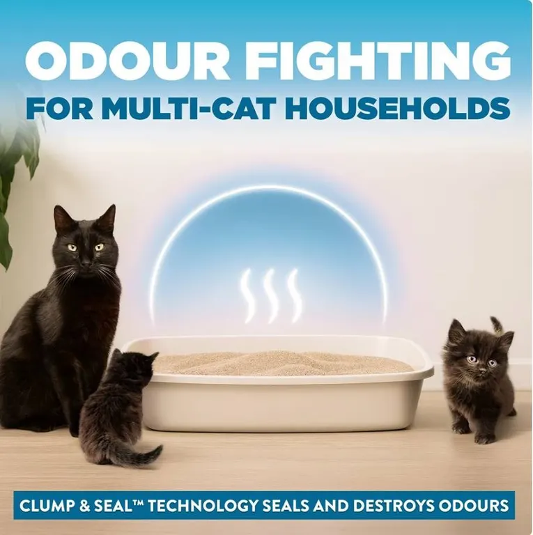 Arm & Hammer Cloud Control Cat Litter 12.7kg