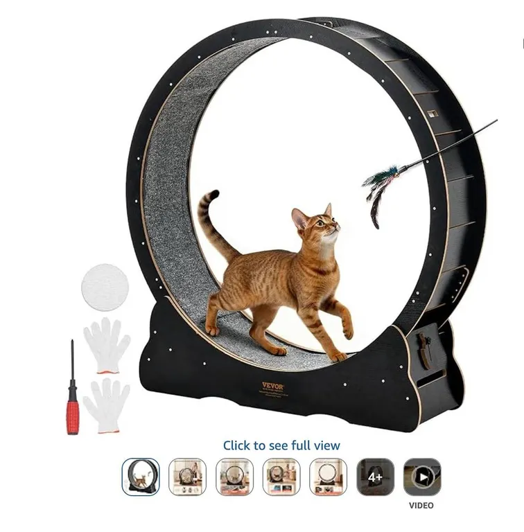 48" Cat Treadmill