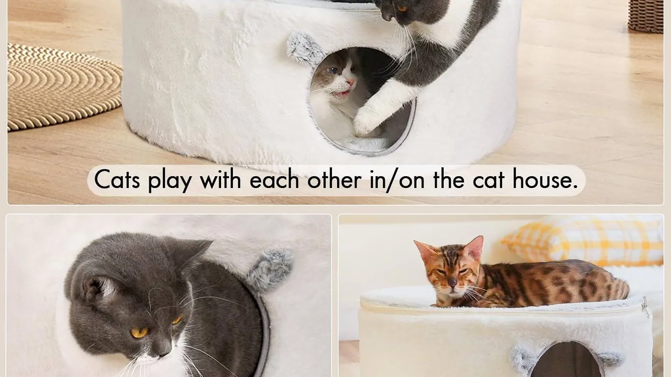 South Paw Multifunctional Cat Bed Tunnel