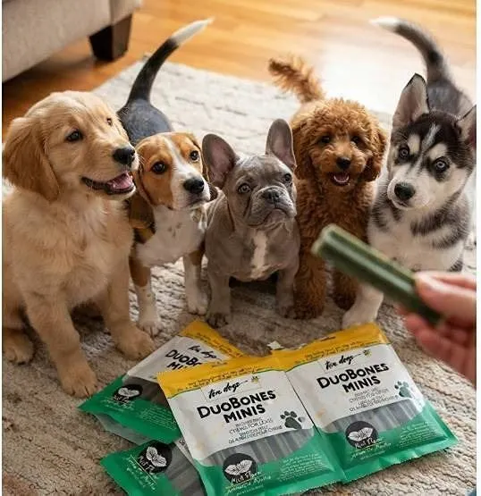 Ten Dogs DuoBones Minis Mint Chews 24x100g